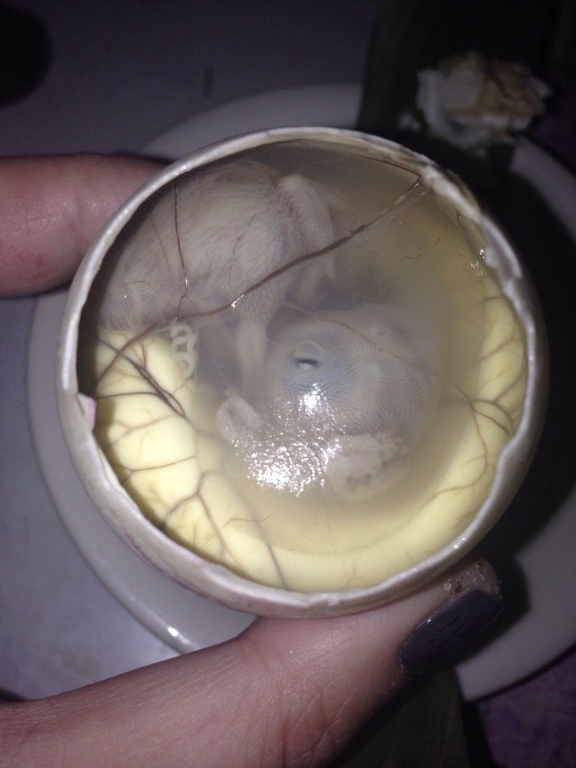 balut.jpg